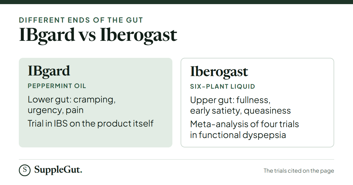 IBgard is peppermint oil for the lower gut: cramping, urgency and pain, with a trial in IBS on the product itself. Iberogast is a six-plant liquid for the upper gut: fullness, early satiety and queasiness, with a meta-analysis of four trials in functional dyspepsia.