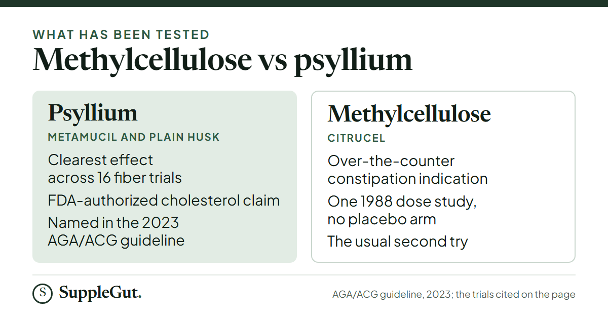 Psyllium had the clearest effect across 16 fiber trials, and has an FDA-authorized cholesterol claim and the 2023 AGA/ACG guideline behind it. Methylcellulose, the fiber in Citrucel, has an over-the-counter constipation indication and one 1988 dose study without a placebo arm.