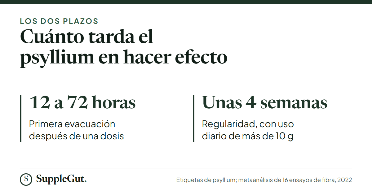 El psyllium tarda de 12 a 72 horas en producir la primera evacuación después de una dosis, y unas 4 semanas de uso diario de más de 10 g en mejorar la regularidad.