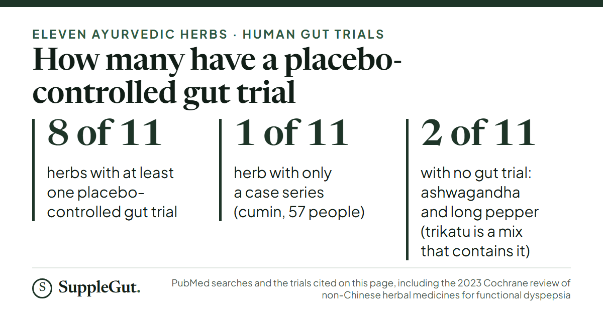 Of eleven Ayurvedic herbs, eight have at least one placebo-controlled gut trial, one (cumin) has only a 57-person case series, and two (ashwagandha and long pepper, with its trikatu mix) have no gut trial.