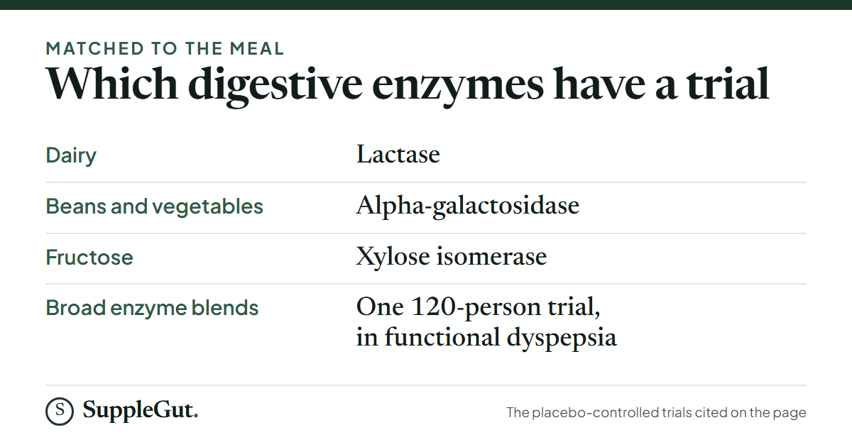 Single-purpose enzymes with a placebo-controlled trial: lactase for dairy, alpha-galactosidase for beans and vegetables, xylose isomerase for fructose. Broad enzyme blends have one 120-person trial in functional dyspepsia.
