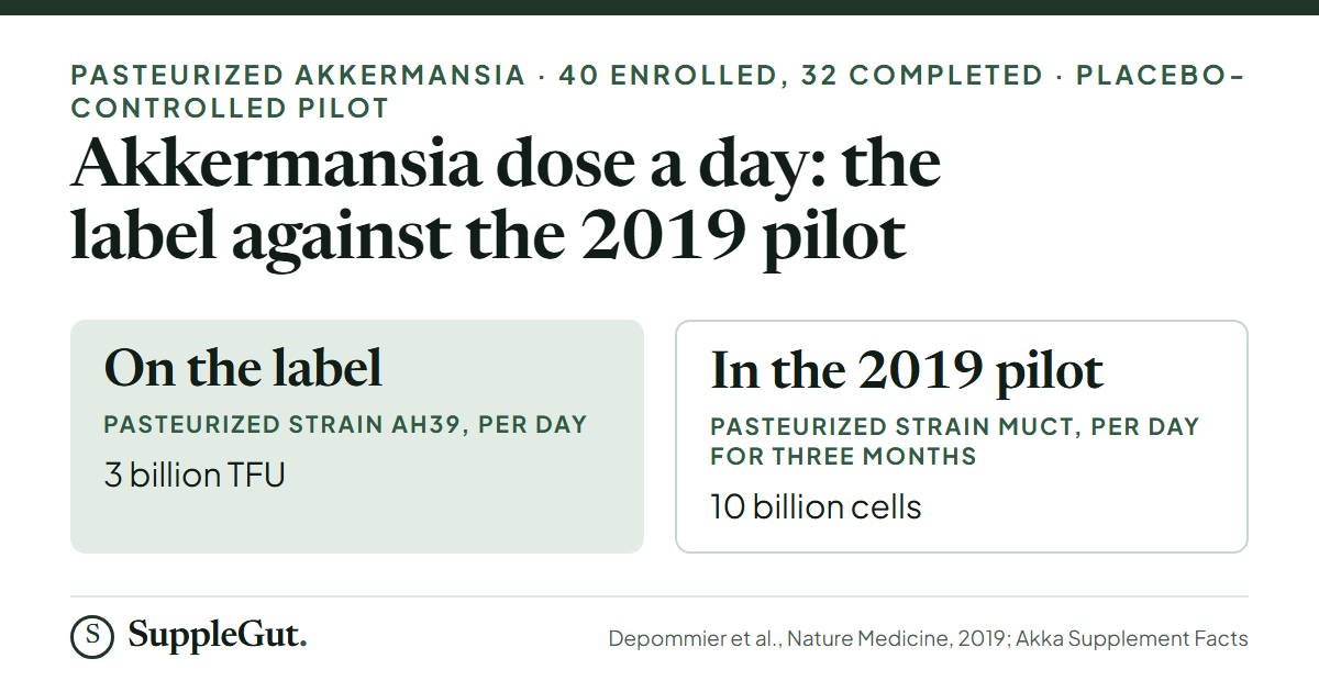 Akka provides 3 billion TFU of pasteurized strain AH39 a day, against 10 billion pasteurized cells of strain MucT a day for three months in the 2019 pilot of 32 adults.