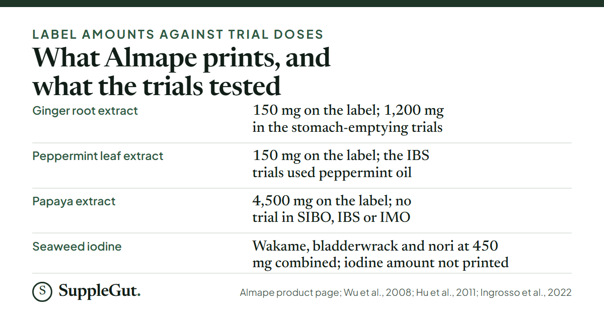 Almape lists ginger root extract at 150 mg against 1,200 mg in the stomach-emptying trials, peppermint leaf extract at 150 mg against oil in the IBS trials, 4,500 mg of papaya extract with no trial in SIBO, IBS or IMO, and seaweed iodine with no amount printed.