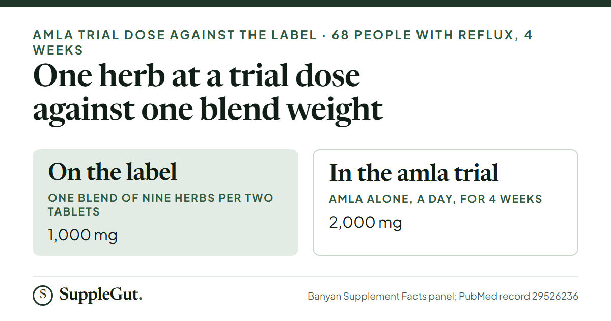 Pitta Digest gives 1,000 mg of a nine herb blend per two tablets, while the amla reflux trial in 68 people used 2,000 mg of amla alone a day for 4 weeks.