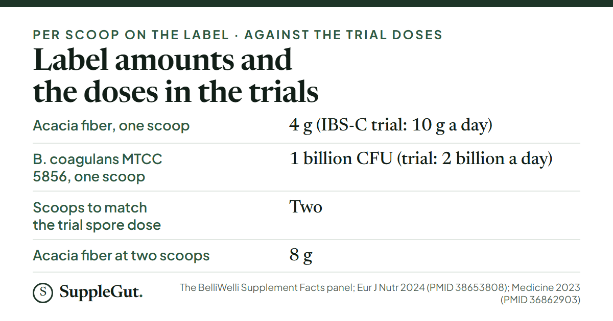 The BelliWelli label gives 4 g of acacia fiber and 1 billion CFU of Bacillus coagulans MTCC 5856 per scoop, against 10 g a day of acacia in the 180-person IBS-C trial and 2 billion spores a day in the 70-adult gas-and-bloating trial; two scoops give 8 g and match the spore dose.