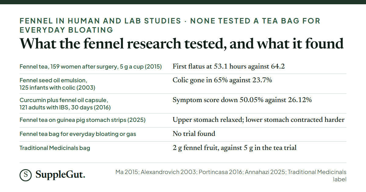 Six rows: a 159-woman post-surgery tea trial at 5 g a cup with first flatus at 53.1 hours against 64.2; a 125-infant fennel oil colic trial with colic gone in 65% against 23.7%; a 121-adult IBS trial of curcumin plus fennel oil with scores down 50.05% against 26.12%; a 2025 guinea pig stomach strip study; no trial of a fennel tea bag for everyday bloating; and a bag holding 2 g of fennel fruit against 5 g in the tea trial.