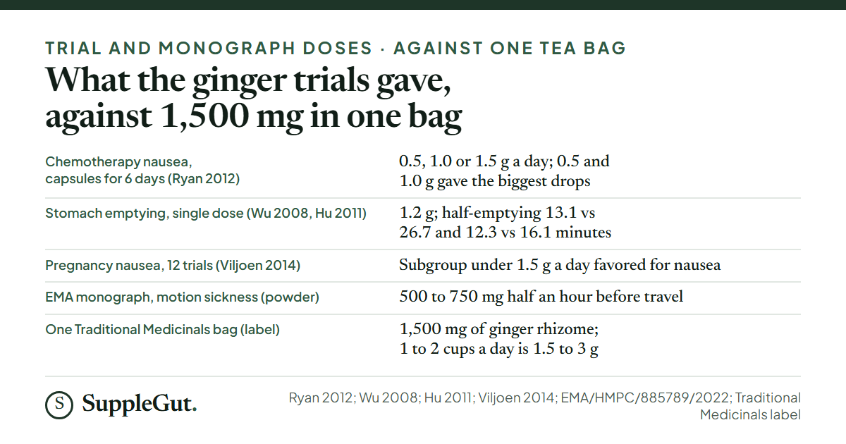 Five rows: a chemotherapy trial giving 0.5, 1.0 or 1.5 grams of ginger a day with the biggest drops at 0.5 and 1.0; stomach-emptying trials at 1.2 grams with half-emptying times falling from 26.7 to 13.1 and from 16.1 to 12.3 minutes; a pregnancy review whose under-1.5-gram subgroup favored ginger for nausea; the European monograph dose of 500 to 750 milligrams of powder before travel; and one tea bag at 1,500 milligrams, which is 1.5 to 3 grams across the 1 to 2 cups the label suggests.
