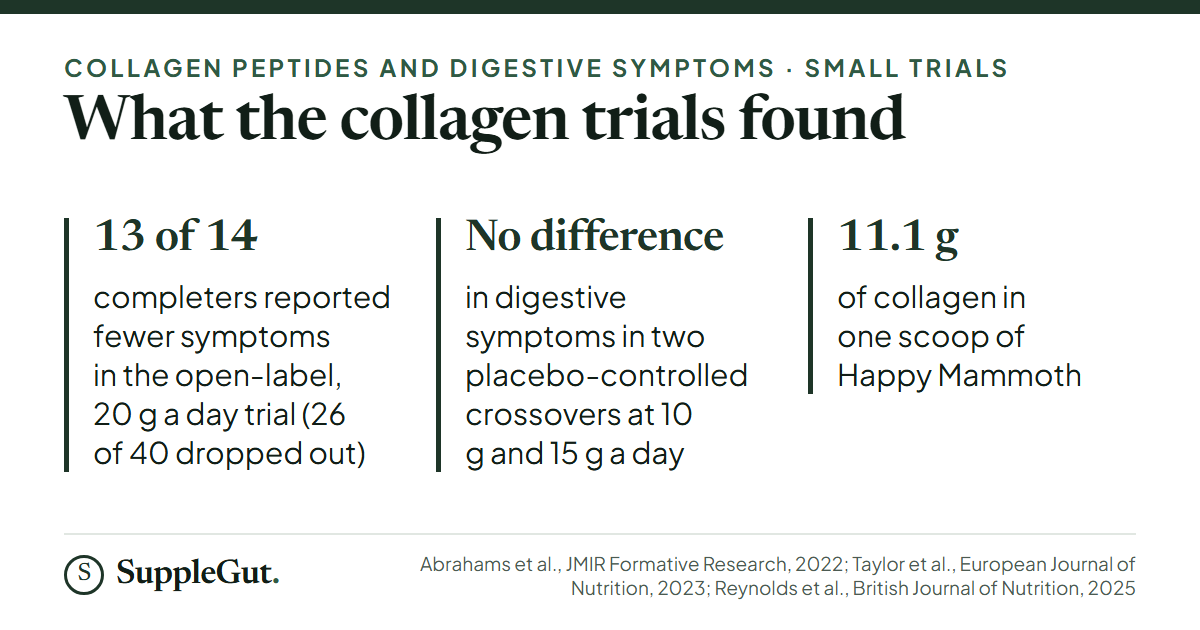 In an open-label trial of 20 grams of collagen a day, 13 of 14 completers reported fewer symptoms; two placebo-controlled crossovers at 10 and 15 grams a day found no difference in digestive symptoms; one Happy Mammoth scoop has 11.1 grams of collagen.