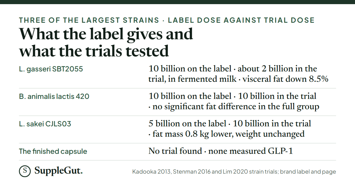 Four rows: L. gasseri SBT2055 has 10 billion CFU on the label against about 2 billion in a fermented-milk trial that cut visceral fat 8.5%; B. animalis lactis 420 has 10 billion on the label and 10 billion in a trial with no significant fat difference in the full group; L. sakei CJLS03 has 5 billion on the label against 10 billion in a trial with 0.8 kg less fat mass and no weight change; the finished capsule has no trial.
