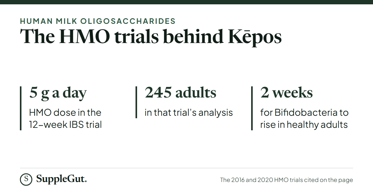 In the HMO trials behind Kēpos, 245 adults with IBS took 5 g a day for 12 weeks, and in healthy adults Bifidobacteria rose within two weeks.