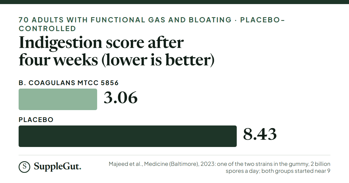 Two bars: the indigestion score fell from 8.91 to 3.06 on Bacillus coagulans MTCC 5856 and from 9.42 to 8.43 on placebo after four weeks.