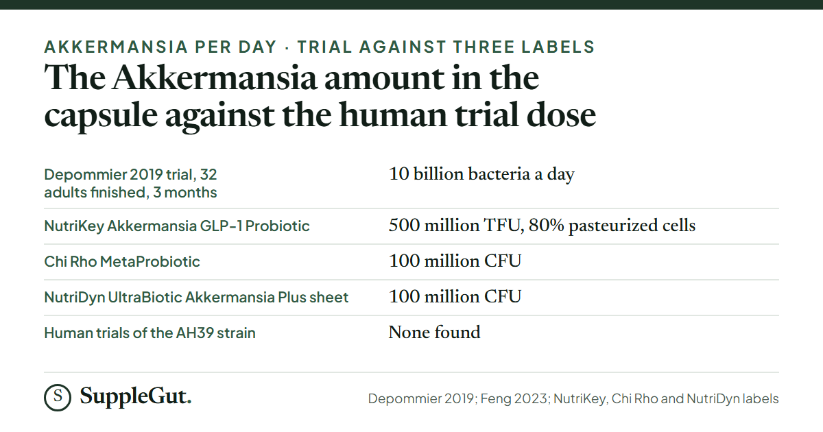 Five rows: a 2019 trial in which 32 adults finished three months at 10 billion Akkermansia bacteria a day; the NutriKey capsule at 500 million TFU with 80% pasteurized cells; the Chi Rho MetaProbiotic label at 100 million CFU; the NutriDyn UltraBiotic Akkermansia Plus sheet at 100 million CFU; and no human trials found of the AH39 strain.