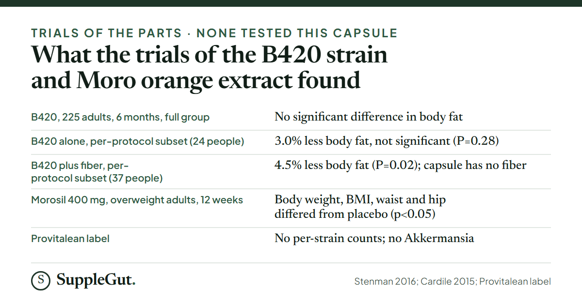 Five rows: the B420 trial of 225 adults found no significant difference in body fat in the full group; B420 alone showed 3.0% less in a 24-person subset, not significant; B420 plus fiber showed 4.5% less in a 37-person subset; Morosil at 400 mg for 12 weeks differed from placebo on weight, BMI, waist and hip; and the Provitalean label prints no per-strain counts and no Akkermansia.