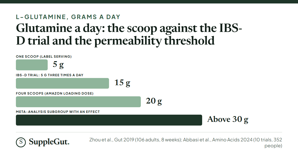 Bars of glutamine per day: one scoop is 5 g, the IBS-D trial used 15 g, four scoops is 20 g, and the permeability subgroup that showed an effect took more than 30 g.