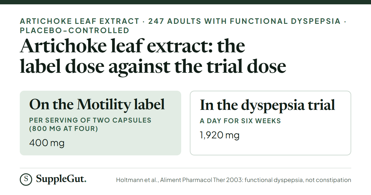 The Motility label has 400 mg of artichoke leaf extract per serving, against 1,920 mg a day in the six-week functional dyspepsia trial.