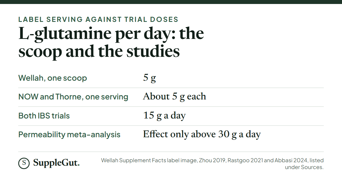 Four rows comparing glutamine per day: Wellah one scoop is 5 g, NOW and Thorne servings are about 5 g each, both IBS trials used 15 g a day, and the permeability meta-analysis found an effect only above 30 g a day.