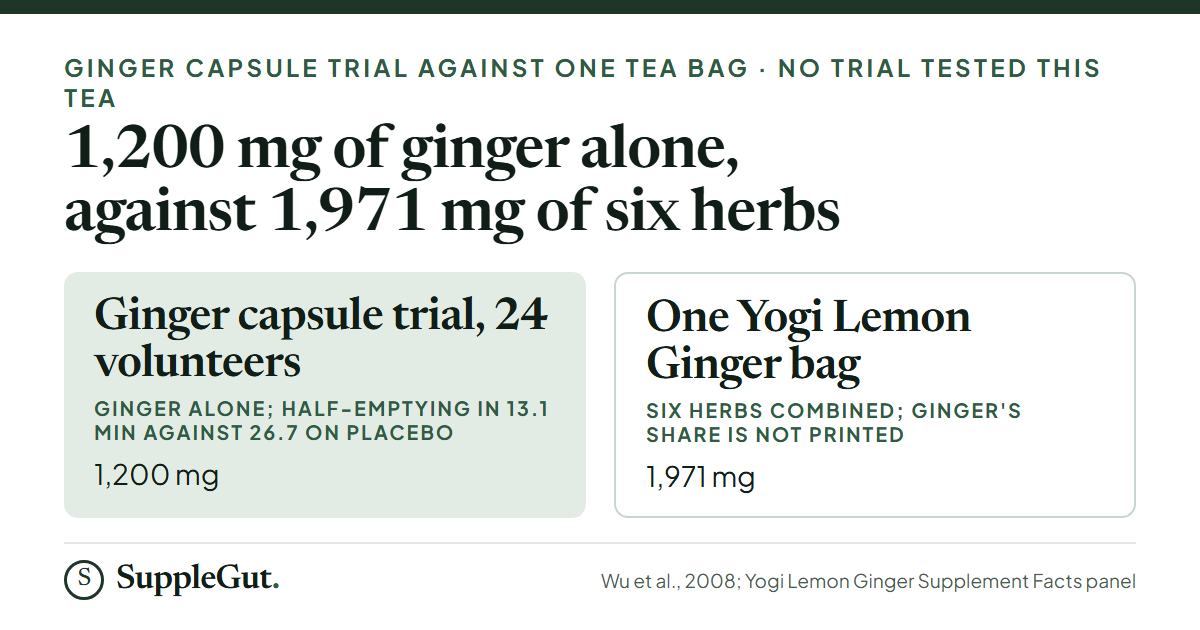 Two figures side by side: 1,200 mg of ginger alone in the capsule trial, where half a meal left the stomach in 13.1 minutes against 26.7 on placebo, and 1,971 mg of six herbs combined in one Yogi Lemon Ginger bag, with no amount printed for ginger.