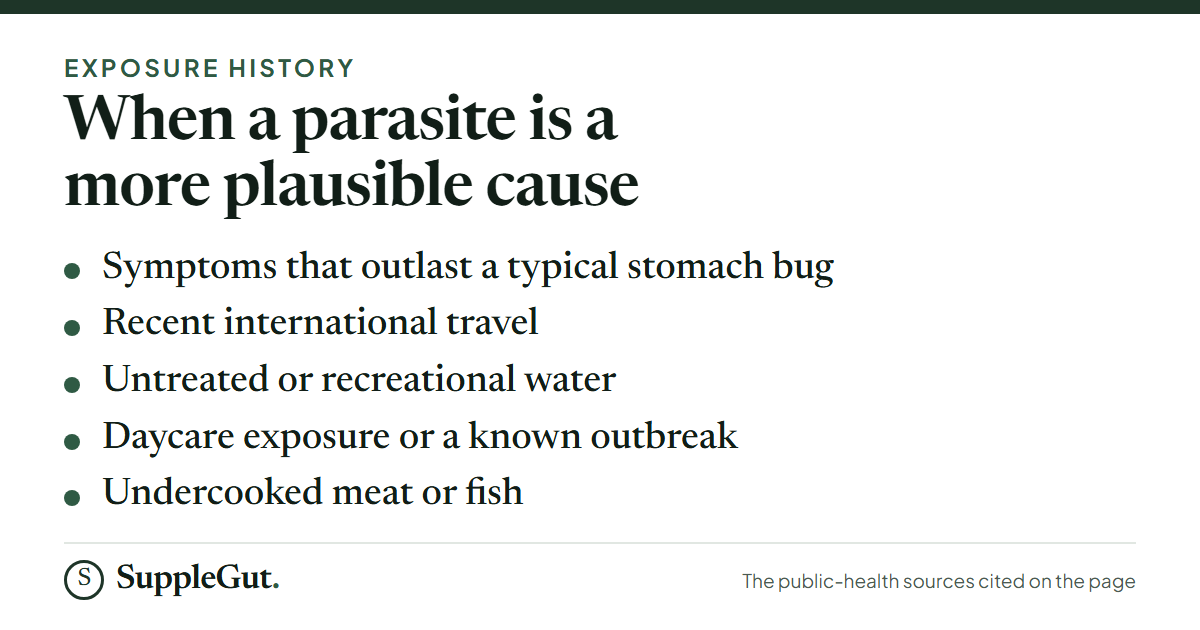 A parasite is a more plausible cause when digestive symptoms outlast a typical stomach bug or follow recent international travel, untreated or recreational water, daycare exposure or a known outbreak, or undercooked meat or fish.