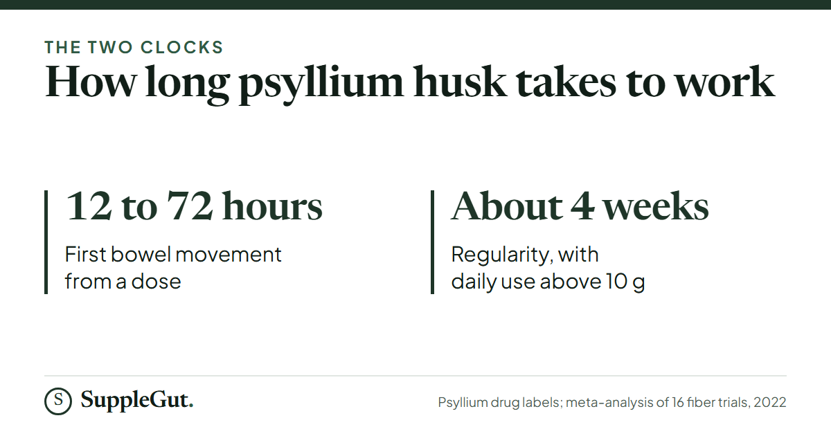 Psyllium husk takes 12 to 72 hours for the first bowel movement from a dose, and about 4 weeks of daily use above 10 g for regularity.