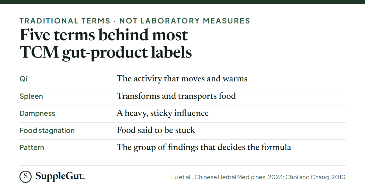 Five TCM terms: qi is the activity that moves and warms, the spleen transforms and transports food, dampness is a heavy sticky influence, food stagnation is food said to be stuck, and a pattern is the group of findings that decides the formula.