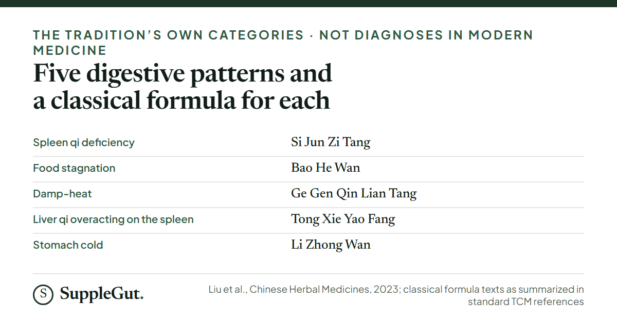 Five TCM digestive patterns with a classical formula for each: spleen qi deficiency with Si Jun Zi Tang, food stagnation with Bao He Wan, damp-heat with Ge Gen Qin Lian Tang, liver qi overacting on the spleen with Tong Xie Yao Fang, and stomach cold with Li Zhong Wan.