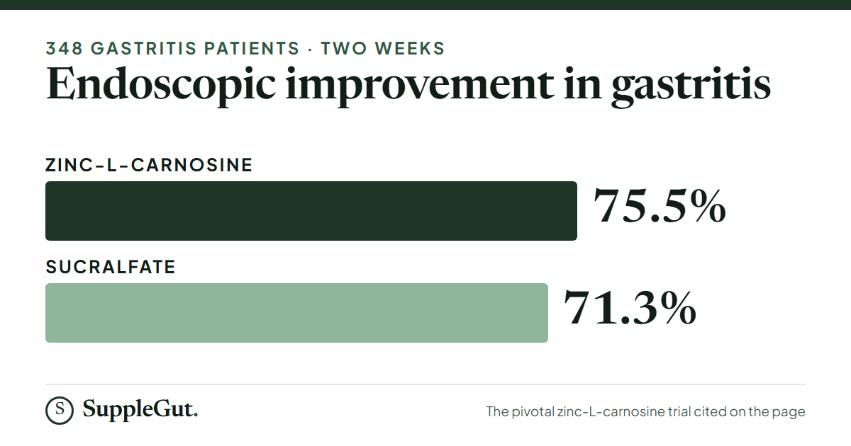 In a two-week trial in 348 gastritis patients, endoscopic improvement reached 75.5% on zinc-L-carnosine and 71.3% on sucralfate.
