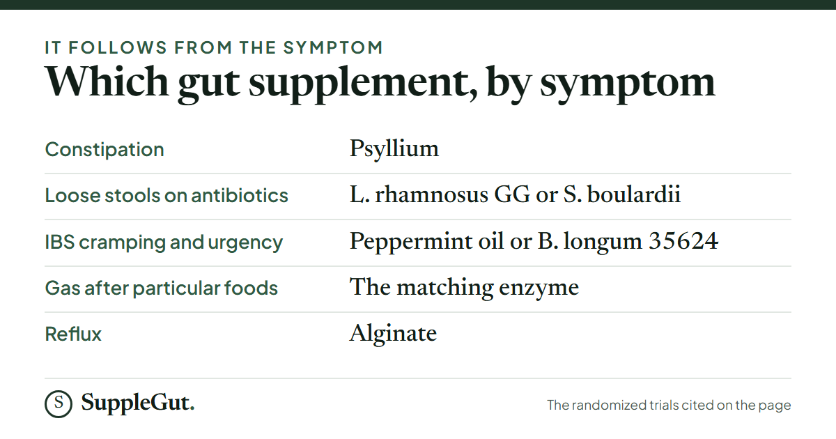 Gut supplements by symptom: constipation, psyllium; loose stools on antibiotics, L. rhamnosus GG or S. boulardii; IBS-type cramping and urgency, enteric-coated peppermint oil or B. longum 35624; gas after particular foods, the matching enzyme; reflux, alginate.