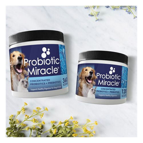 Nusentia Probiotic Miracle