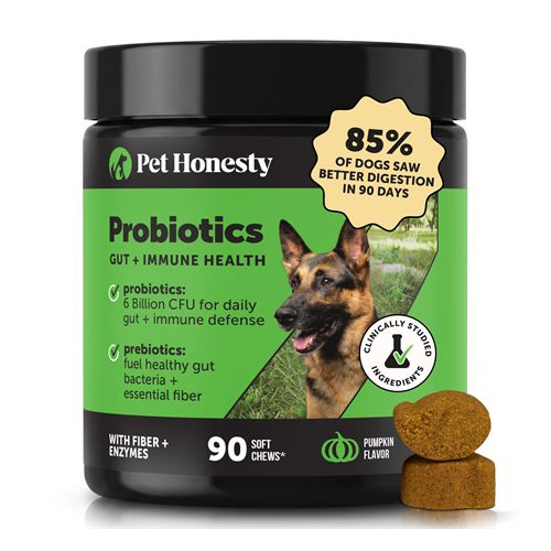 PetHonesty Probiotics Gut + Immune Health chews for Dogs