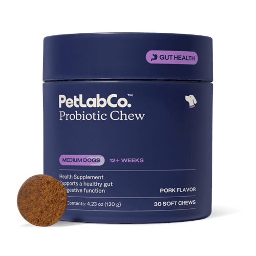 PetLab Co. Probiotic Chews for Dogs